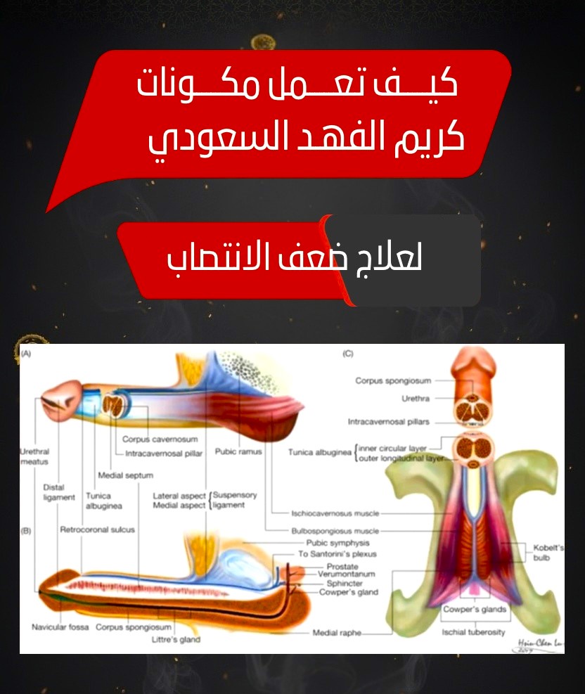 كريم الفهد السعودي